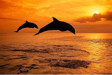 全新嘻哈和浩室迷你专辑共有三首乐曲，将于2月25日发行