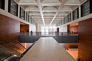 任天堂将举行《塞尔达传说：王国之泪》特别直播活动