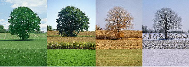 冒险新作《Jivana》已在Steam免费推出 当前评价褒贬不一