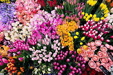 《漫威暗夜之子》日行者预告 12月2日正式发售